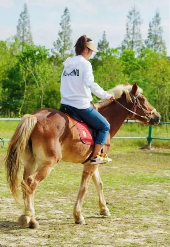 寻龙骑马,品茶赏灯……这个春节,快来打卡浦江之首_号
