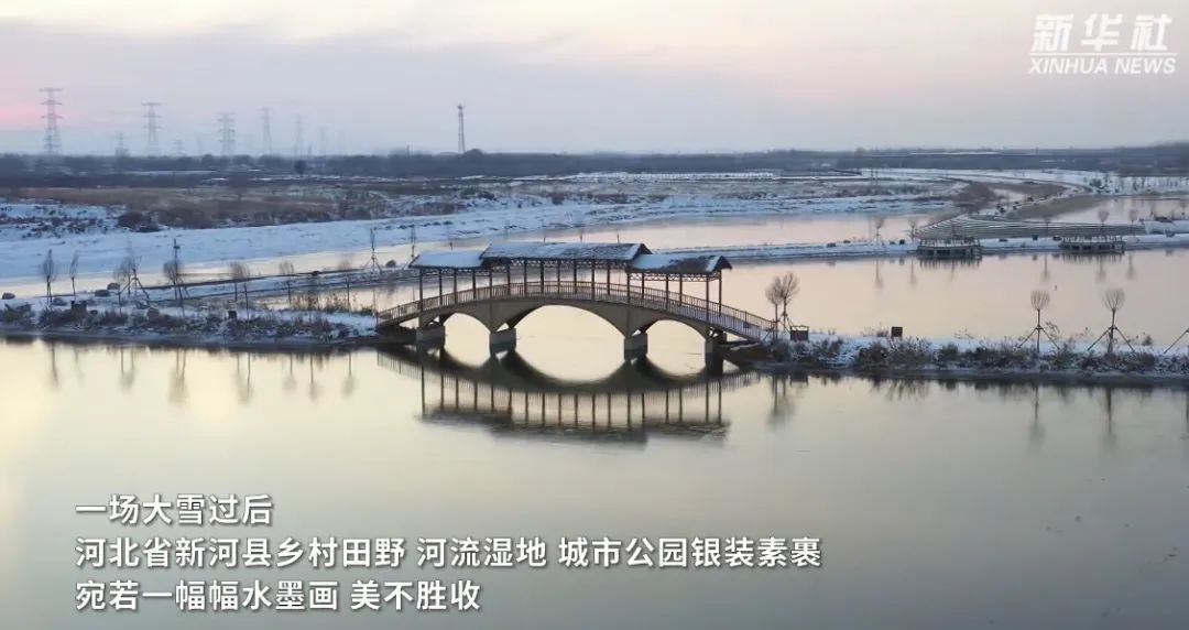 千城胜景|河北新河:雪润城乡美如画_澎湃号·政务