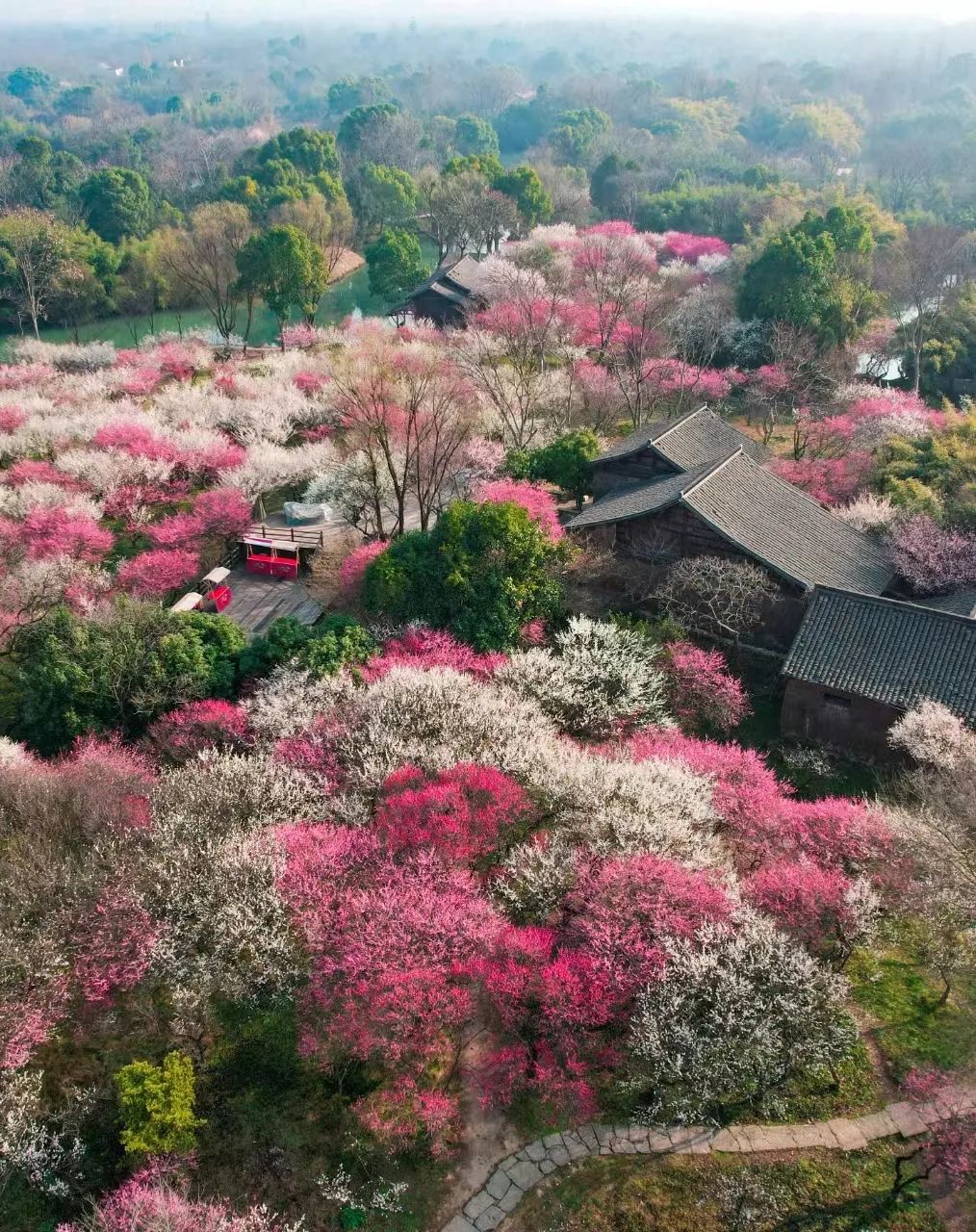 西溪湿地对部分人群免门票备注:景区其他经营性项目如索道,滑道,游船