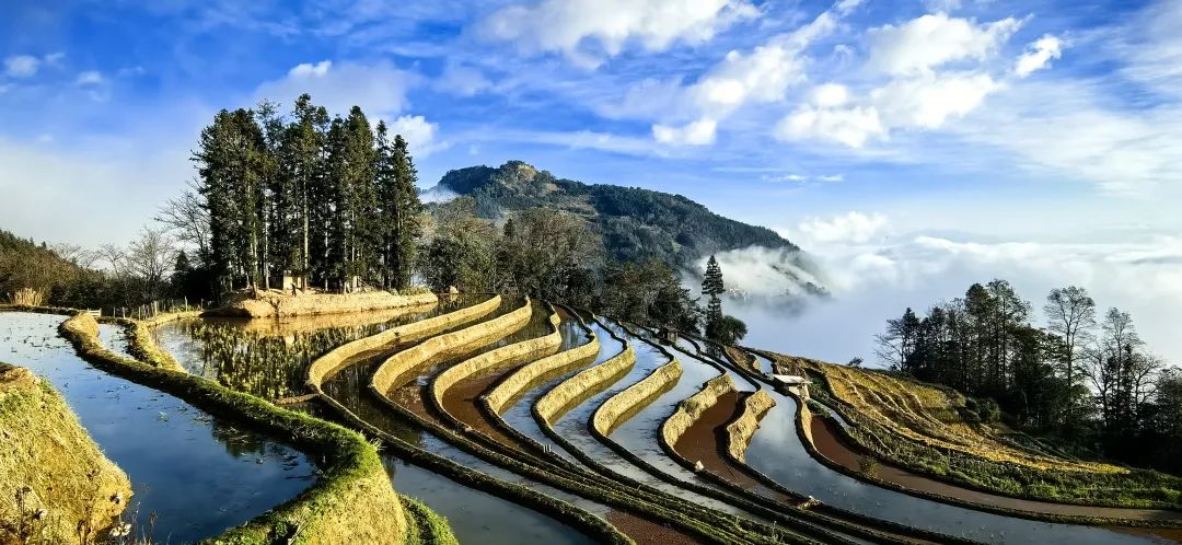哈尼梯田冬景 马继春 罗咏俊 摄坝美村一览无余河两岸的是凤尾竹