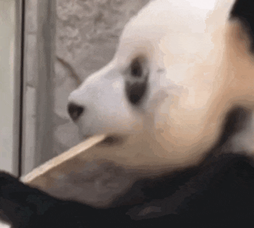 今日全宇宙最涨姿势的十张图_澎湃号·湃客_澎湃新闻