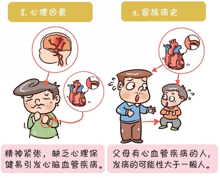 心脑血管疾病发病的十大因素,建议收藏_澎湃号·湃客_澎湃新闻-the