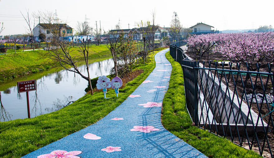 惊喜!这个"空心村"变成了"网红打卡村"