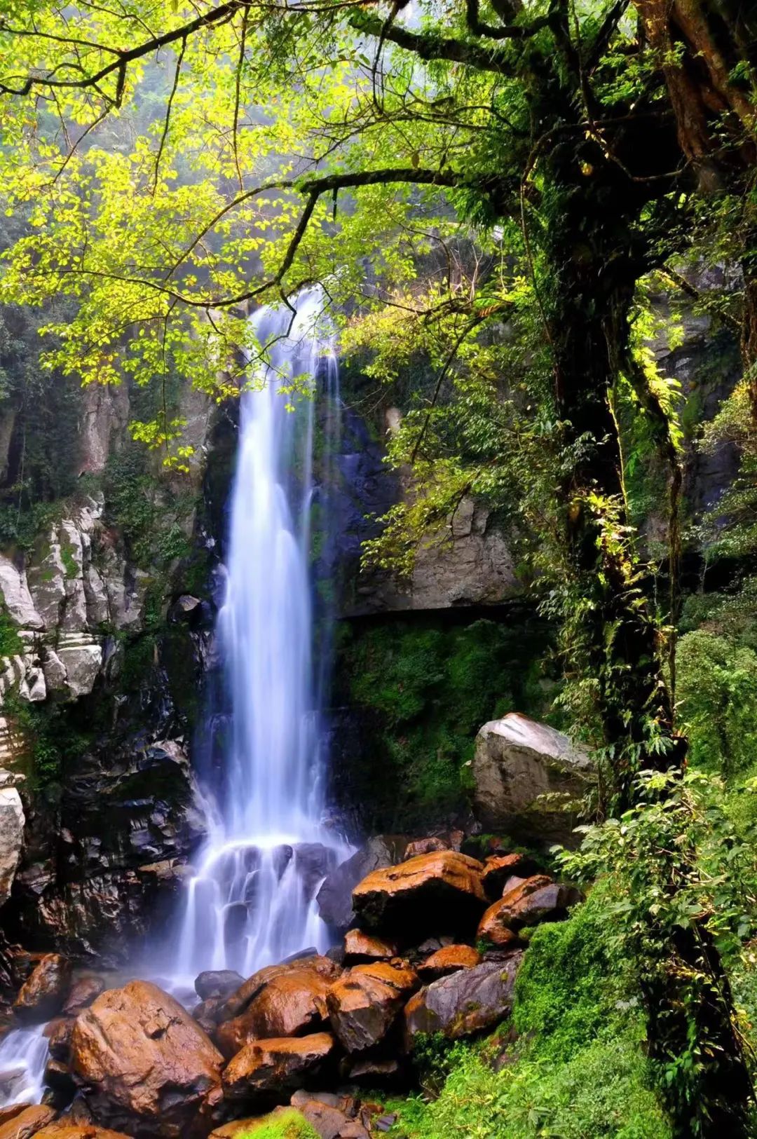 云南省红河州金平县:一座美丽又极具风情的边境小城