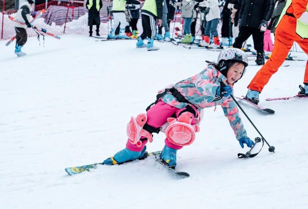 热"雪"沸腾 | 龙行龘龘,南武当滑雪场年味浓!_澎湃号
