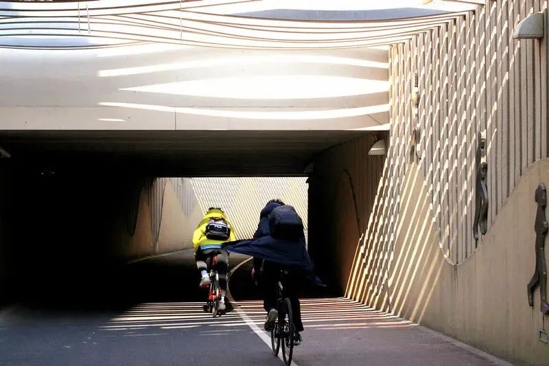 6公里北翟路高架桥下—仙霞西路空中绿廊梦幻绿廊在密林中骑行,穿越