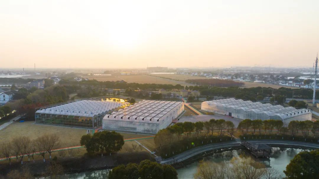 白鹤镇:稳中快进,稳中优进,推动经济量质齐升丨奋进in青浦_澎湃号