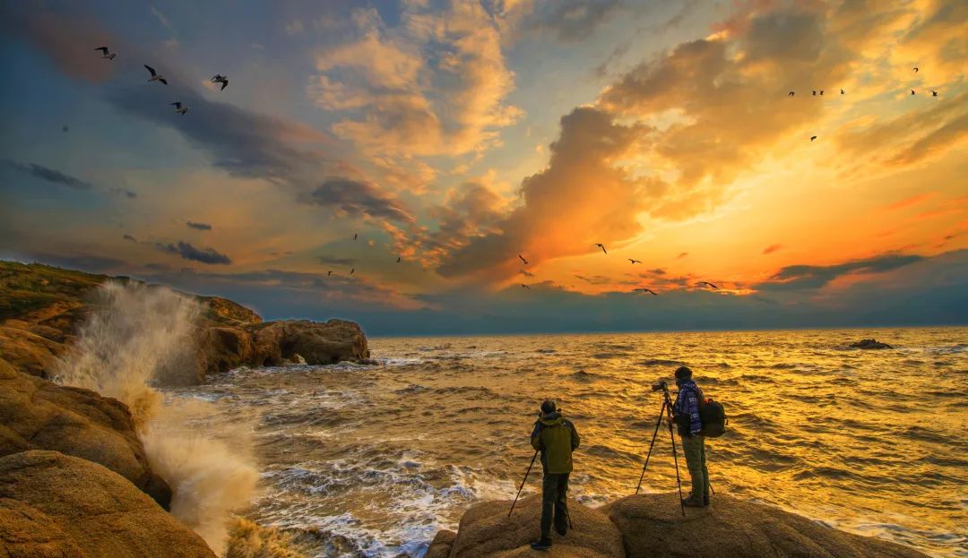 底栖生物增殖成效明显,投放区域的沙蚕生物量平均增长175%,非投放区