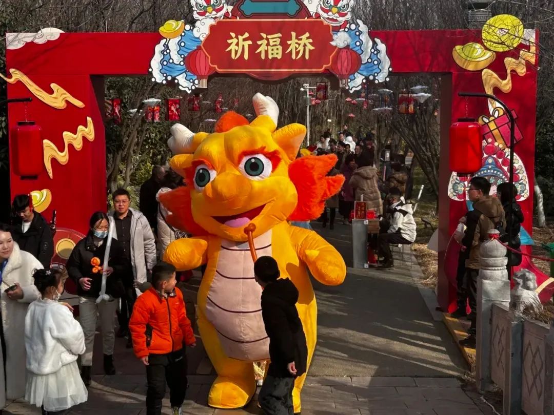 来洛龙!_澎湃号·政务_澎湃新闻-the paper