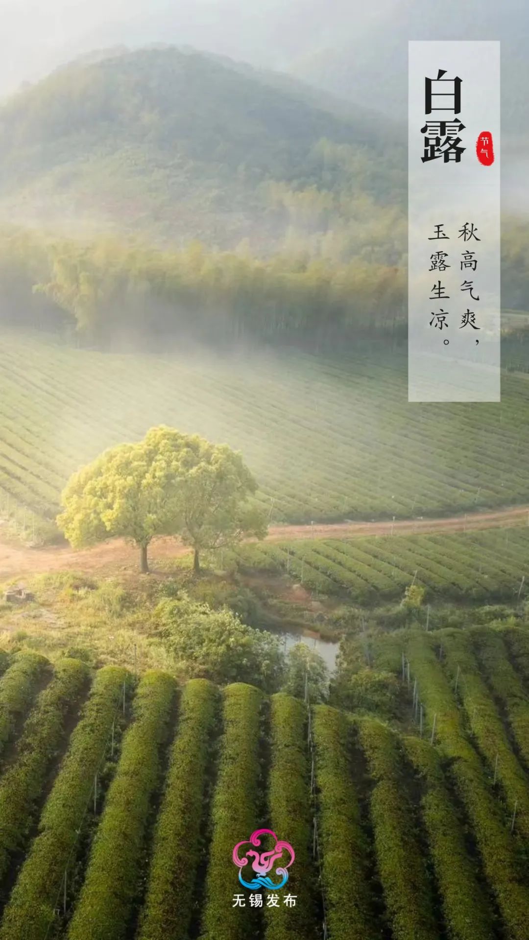 寒 露华芳寒露,秋光凝聚萧萧秋意重依依寒色浓一朝秋意浓十里桂花香霜