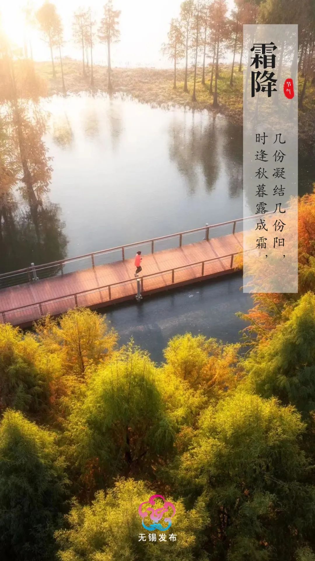 澎湃号·政务_澎湃新闻-the paper