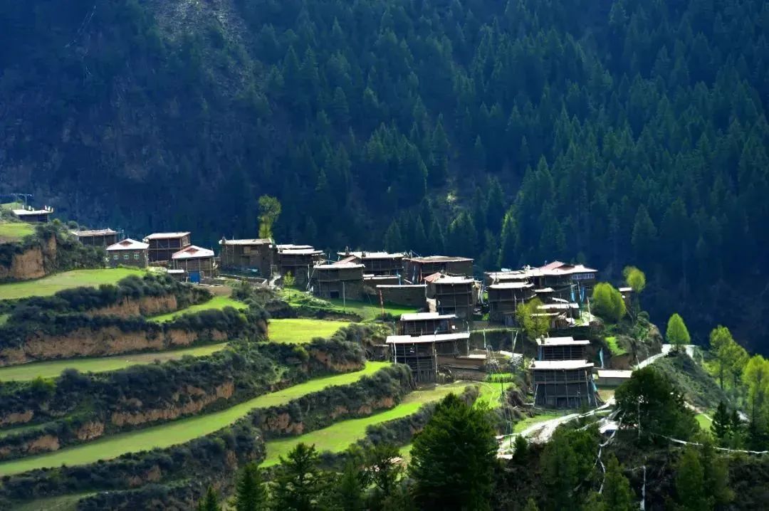 "雪域秘境"青海果洛等你来探寻→_澎湃号·政务_澎湃