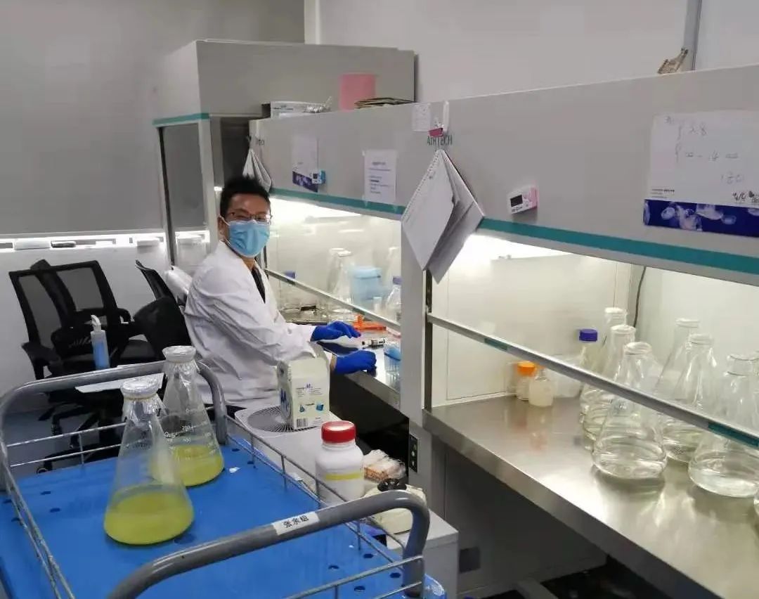 黄坤,挑战"教科书级别"难题!_澎湃号·政务_澎湃新闻