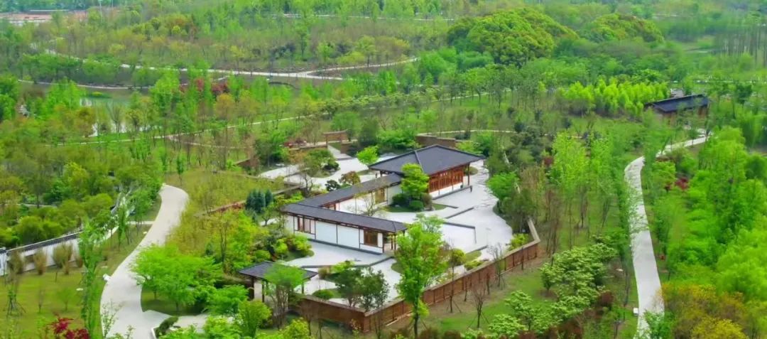 江苏常州:来"龙城",读懂水韵一方|龙里龙气看中国⑥