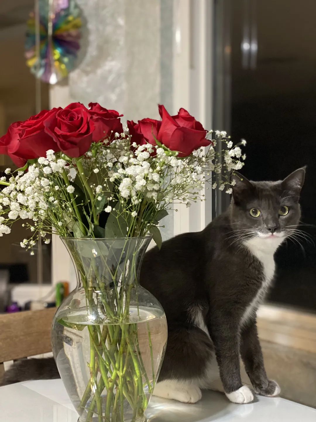 美国照护故事:玩音乐的老年夫妇_澎湃号·湃客_澎湃新闻-the paper