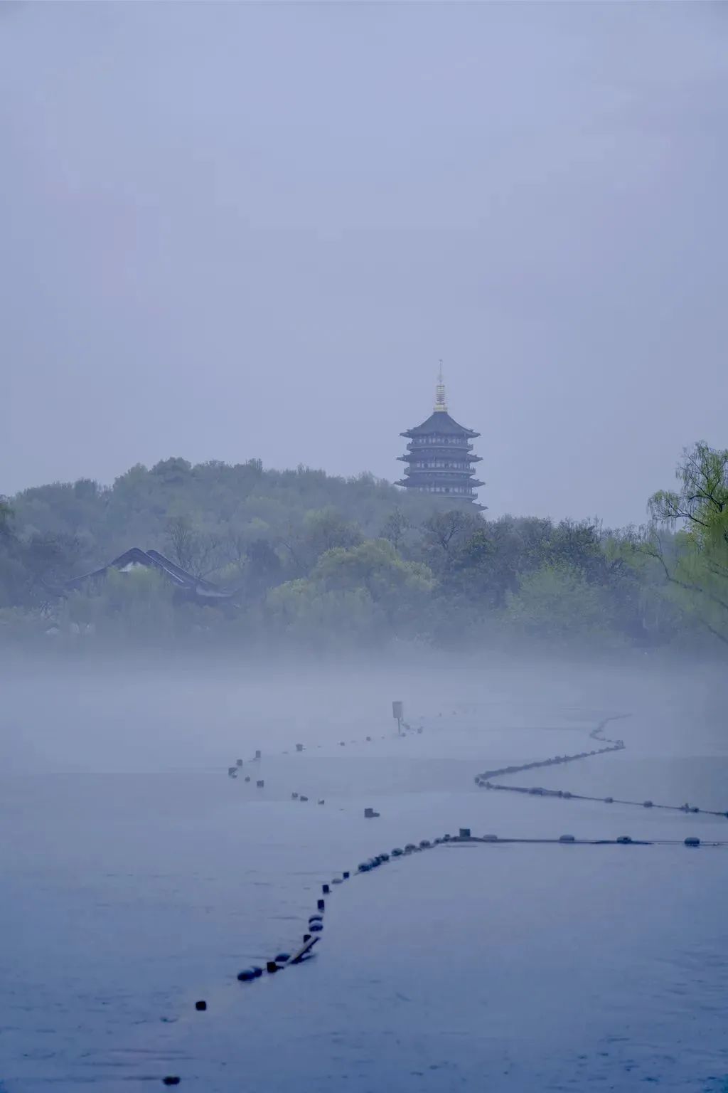 浙大学子深情代言,只为最美的她