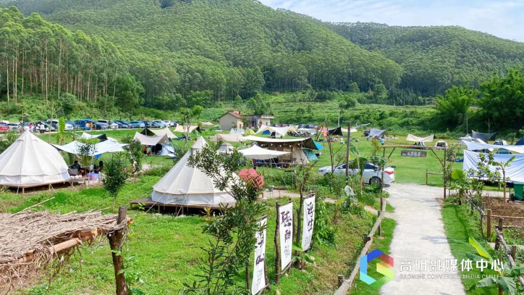 高明网红打卡点别错过!茶道,咖啡,萌宠,露营全都有_号