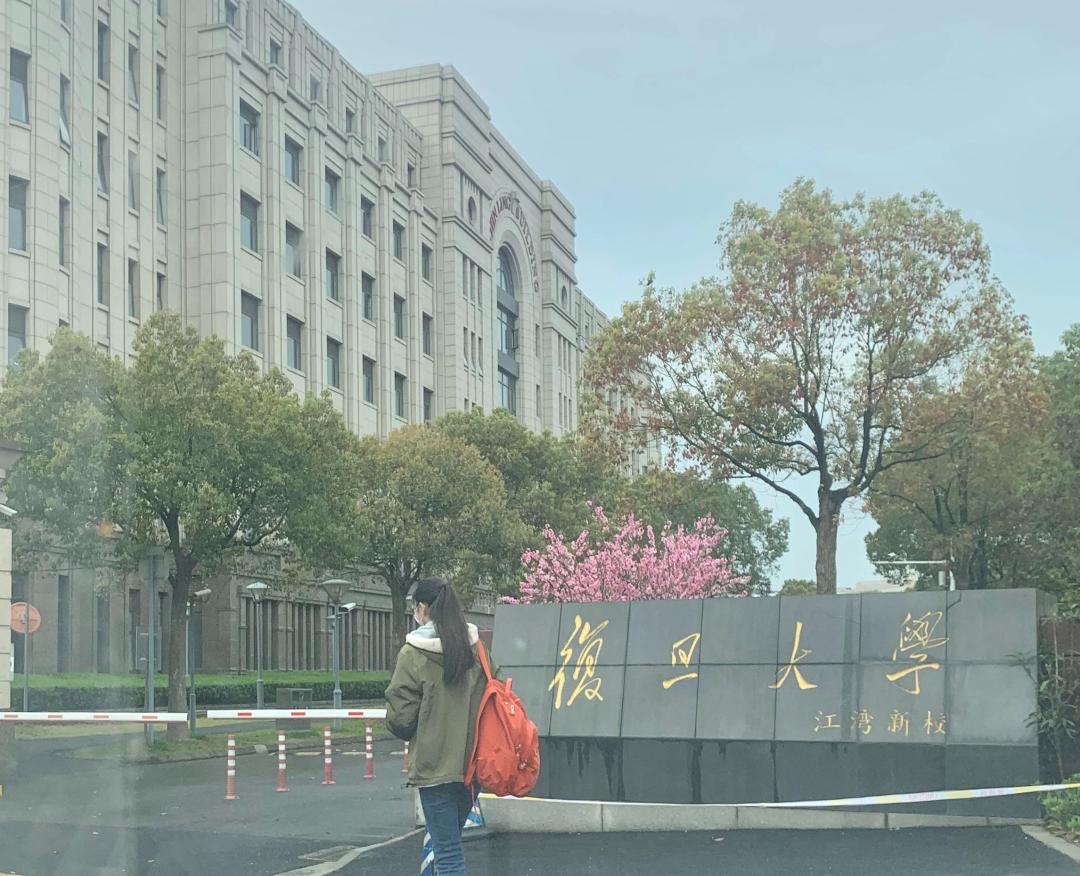 从上外附中到被mit录取,回顾女儿的成长,我做了这些事_澎湃号·湃客