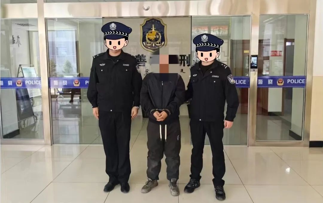 春节我在岗 破案为民生_澎湃号·政务_澎湃新闻-the paper