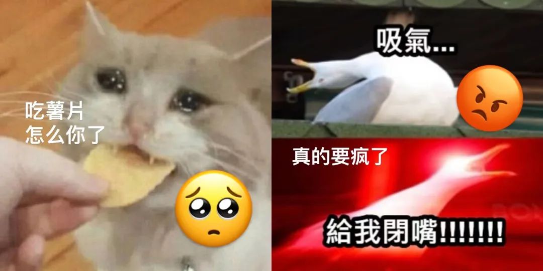 不少人为此发疯,还推出了消(薯片)音ai_澎湃号