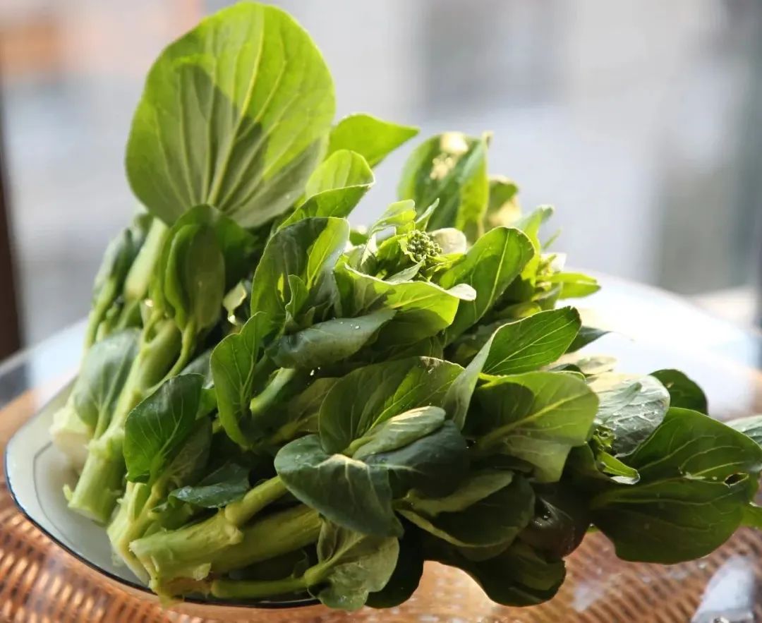 来湖州61寻江南|雨水:春天里的第一口苔心菜,你尝了么?