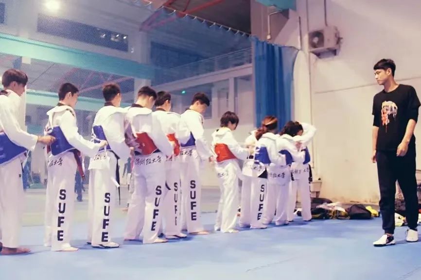 从斩获国内外各项赛事奖项的跆拳道国家队队员,到在众多专业课老师中