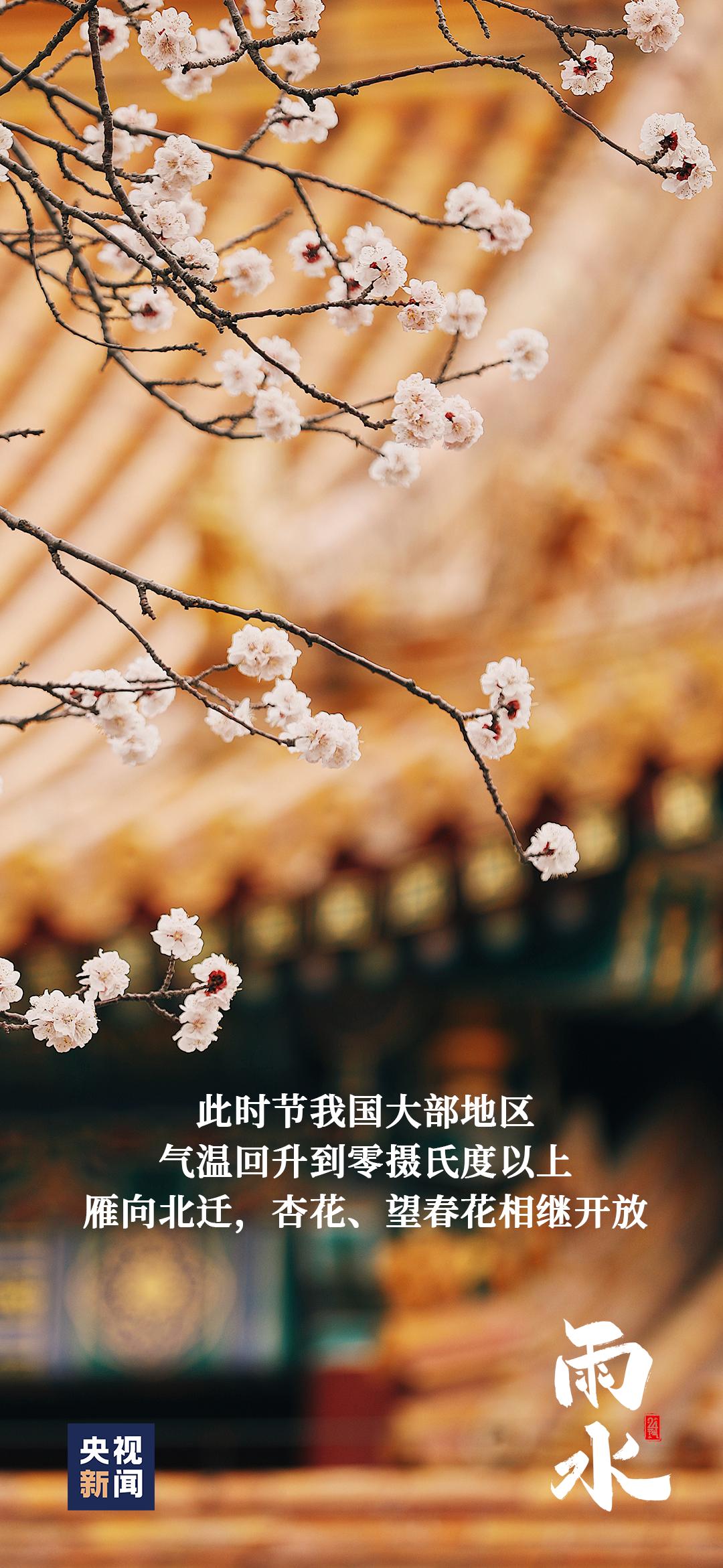 【节气里的大美中国】今日 雨水_澎湃号·政务_澎湃新闻-The Paper
