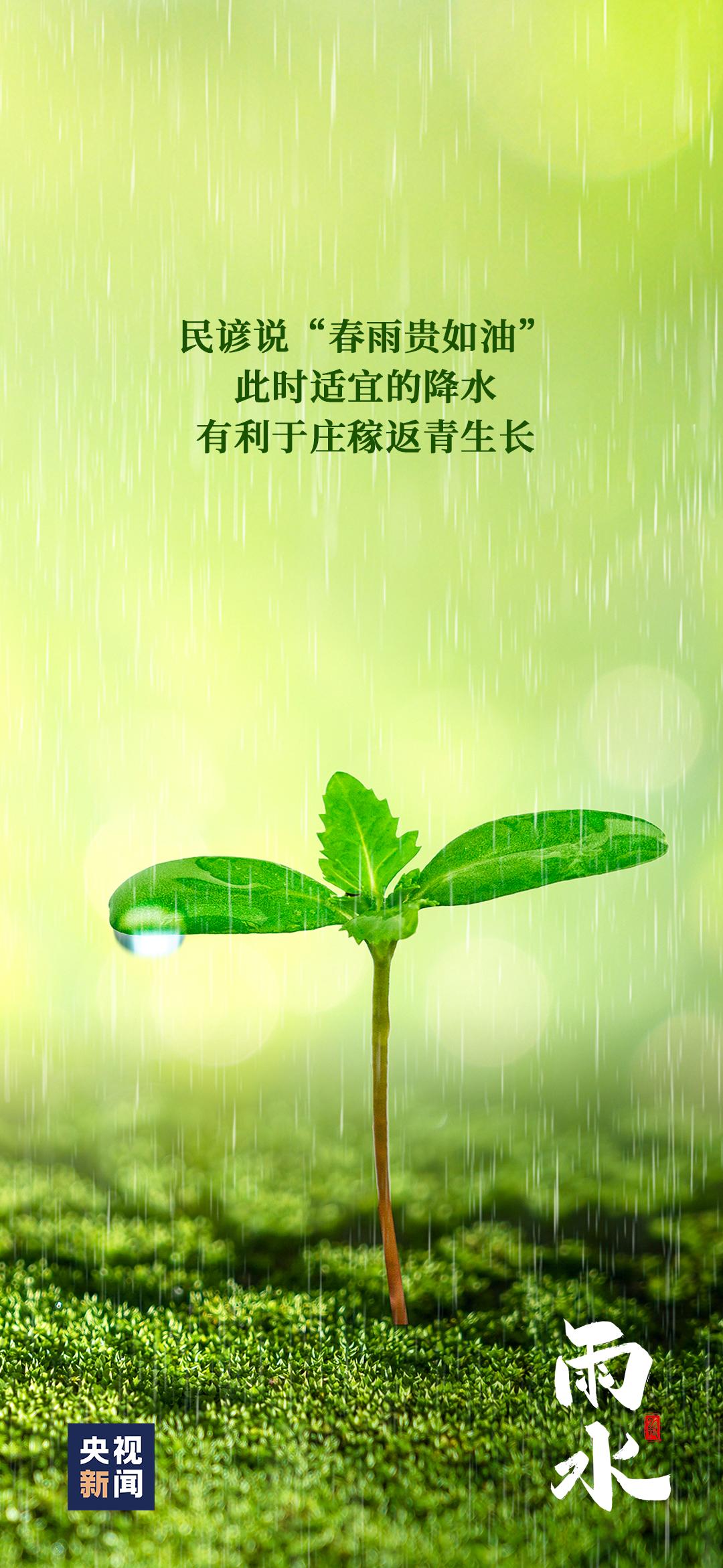 【节气里的大美中国】今日 雨水_澎湃号·政务_澎湃新闻-The Paper