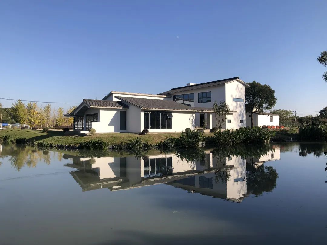 看浦东的农村如何更宜居宜业_澎湃号·政务_澎湃新闻-the paper