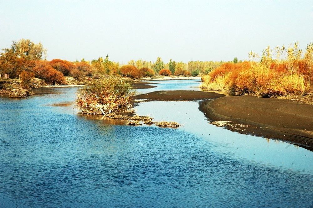 市州动态丨张掖临泽绘就绿色发展新画卷
