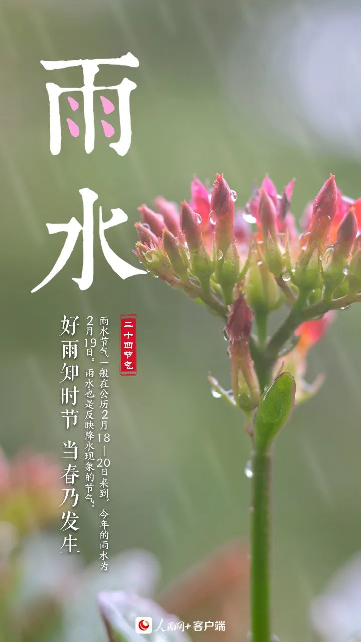 雨水节日美篇图片