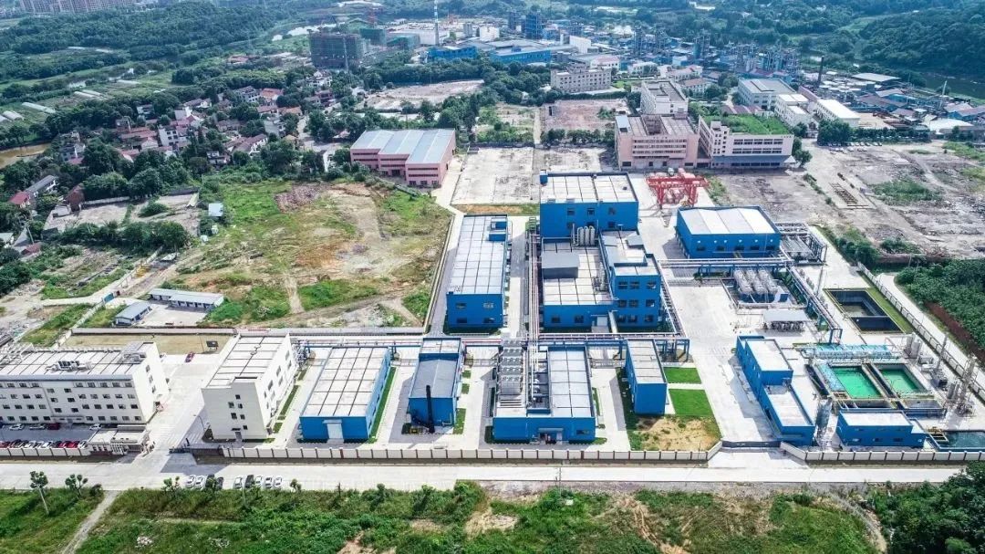 【一把手谈"五大攻坚"】白洋街道  林繁勇:迎难而上 笃行不怠