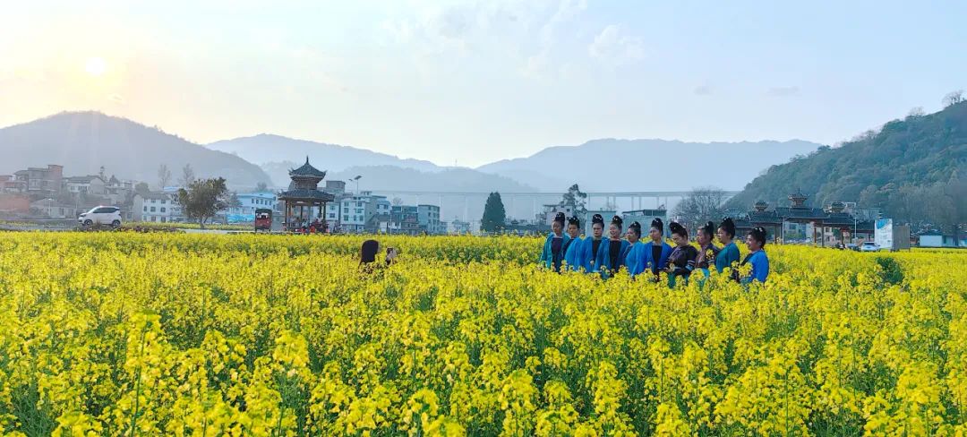 从江县洛香镇上皮林村千亩油菜花开等你来