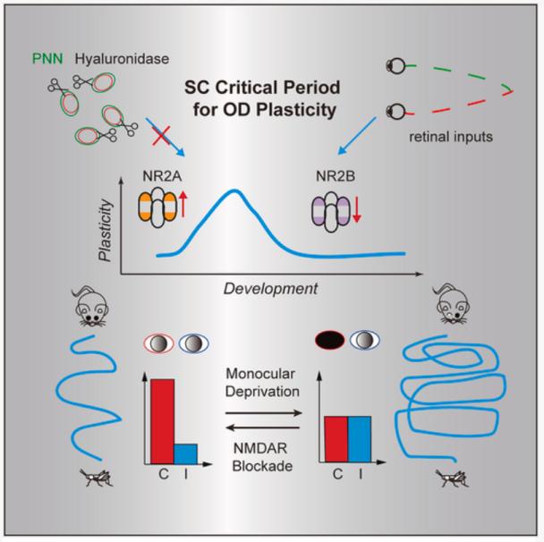 复旦取得哪些科研新突破?_澎湃号·政务_澎湃新闻-the paper