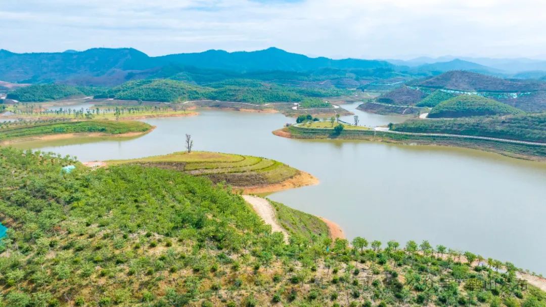 高质量发展鹤山又上榜新增省级基地和龙头企业