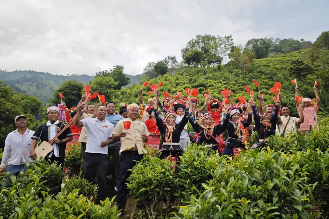 勐海县布朗山乡:党旗飘在茶山上 ,茶农富在家门口_澎湃号·政务_澎湃