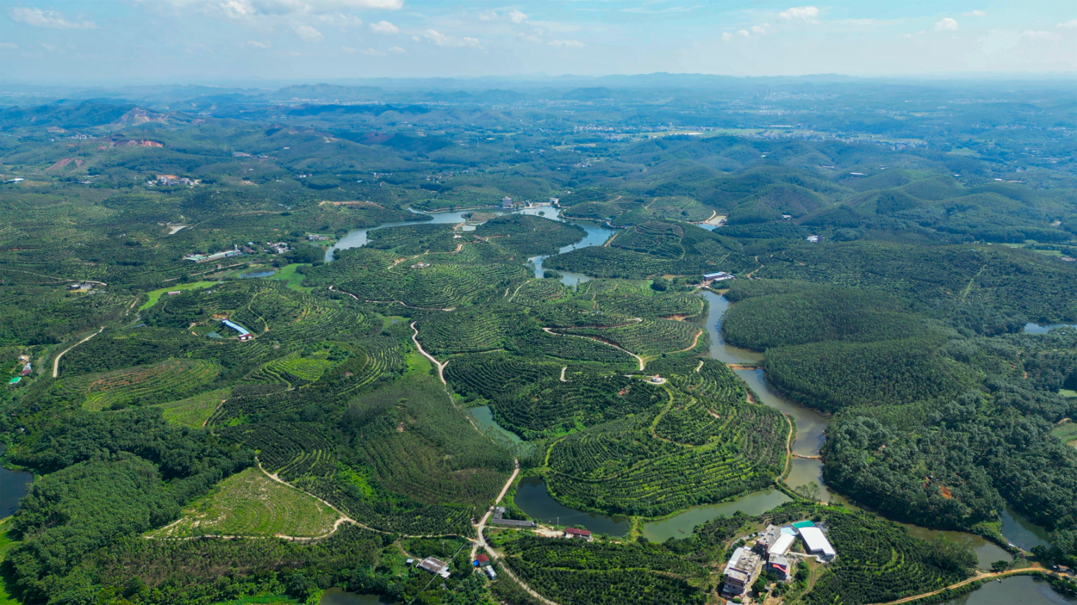 擦亮化州高质量发展底色 绘就现代版"富春山居图"_澎湃号·媒体_澎湃