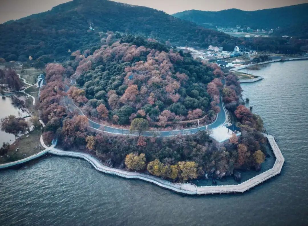 廊道东端的无锡太湖植物园启动区3月将正式开放,这里由红沙湾景区提升