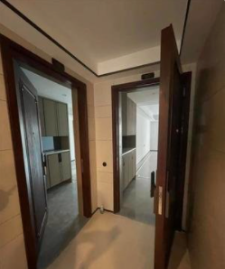 981.png