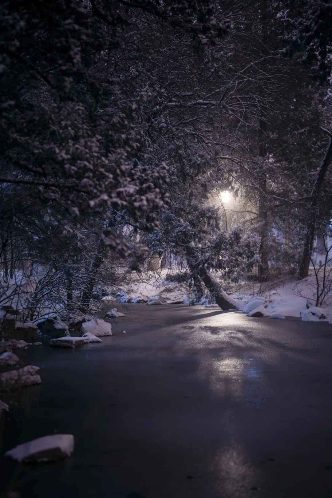 雪夜孤灯图片