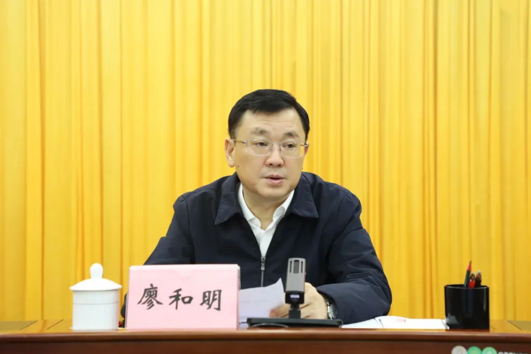 来宾一季度经济发展推进电视电话会议召开_澎湃号·政务_澎湃新闻-the