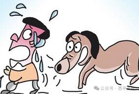 饲养的动物咬人后应承担怎样的法律后果?