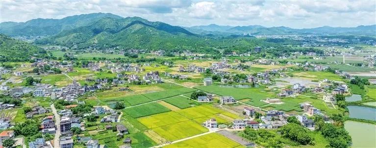 【在河源加快实现绿色崛起中奋力推进龙川全面振兴79】 通衢镇走稳