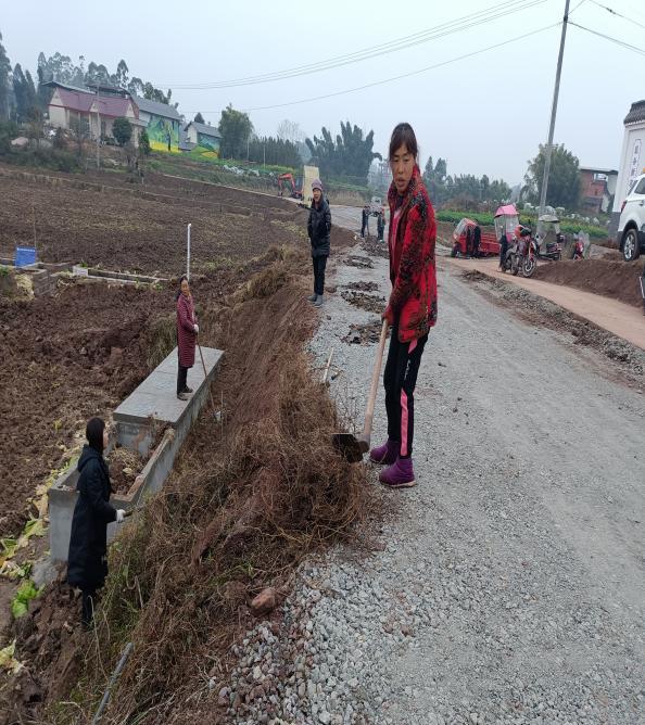 基层妇联动态井研县王村镇妇联凝聚巾帼力量助力环境整治