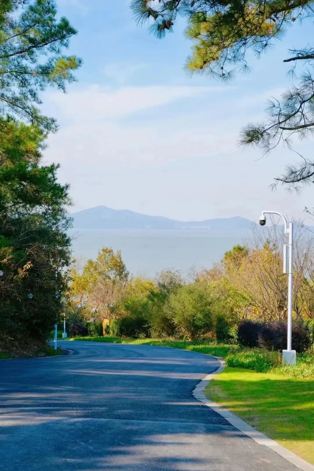 刚刚过去的春节长假,位于西向湖湾上的鼋头渚,龙头渚等景区人流持续