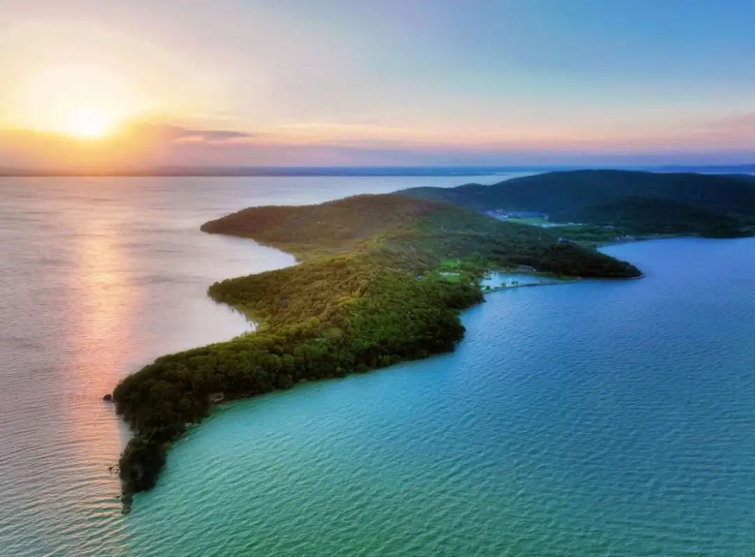 澎湃号·政务_澎湃新闻-the paper