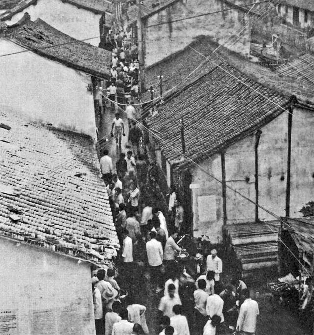 马桥为什么叫马桥?丨闵行情_澎湃号·政务_澎湃新闻-the paper