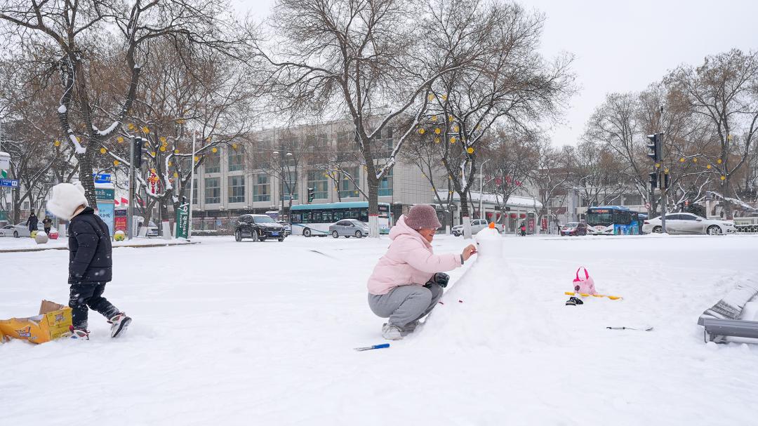 这是,雪后的银川_澎湃号·政务_澎湃新闻-the paper