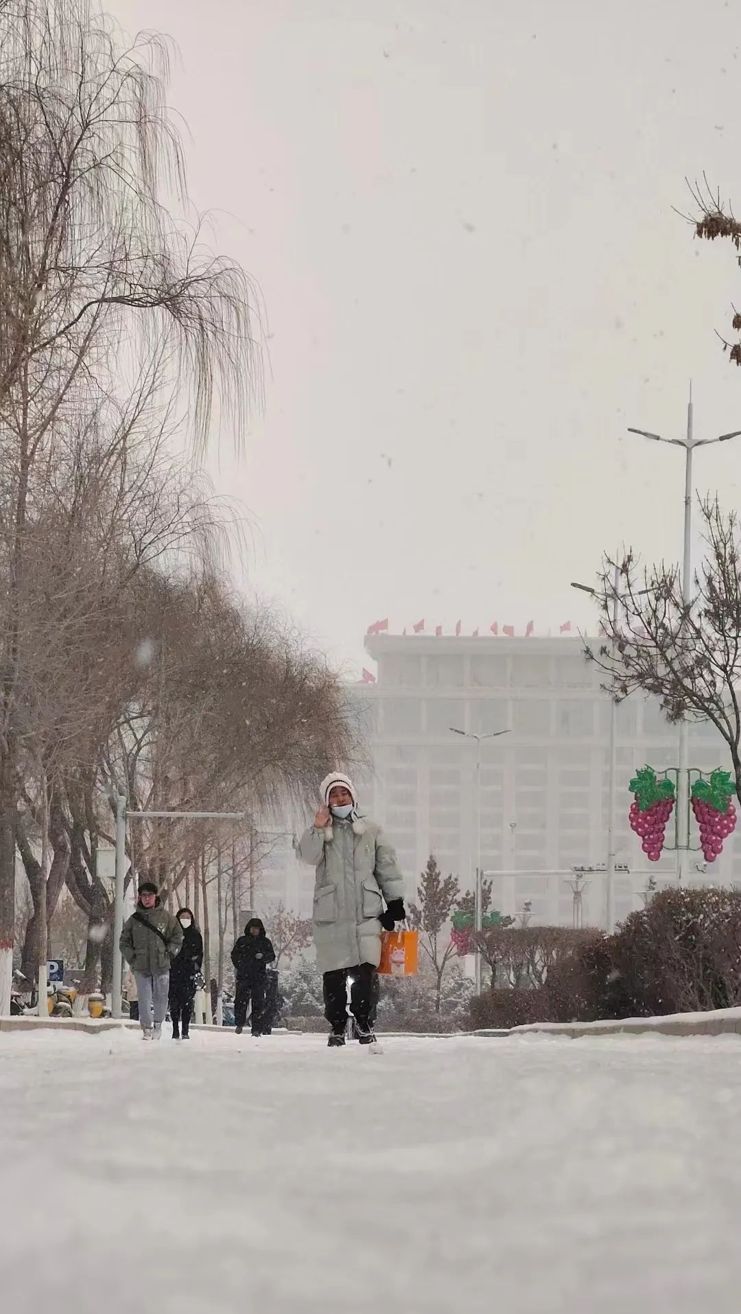 这是,雪后的银川_澎湃号·政务_澎湃新闻-the paper