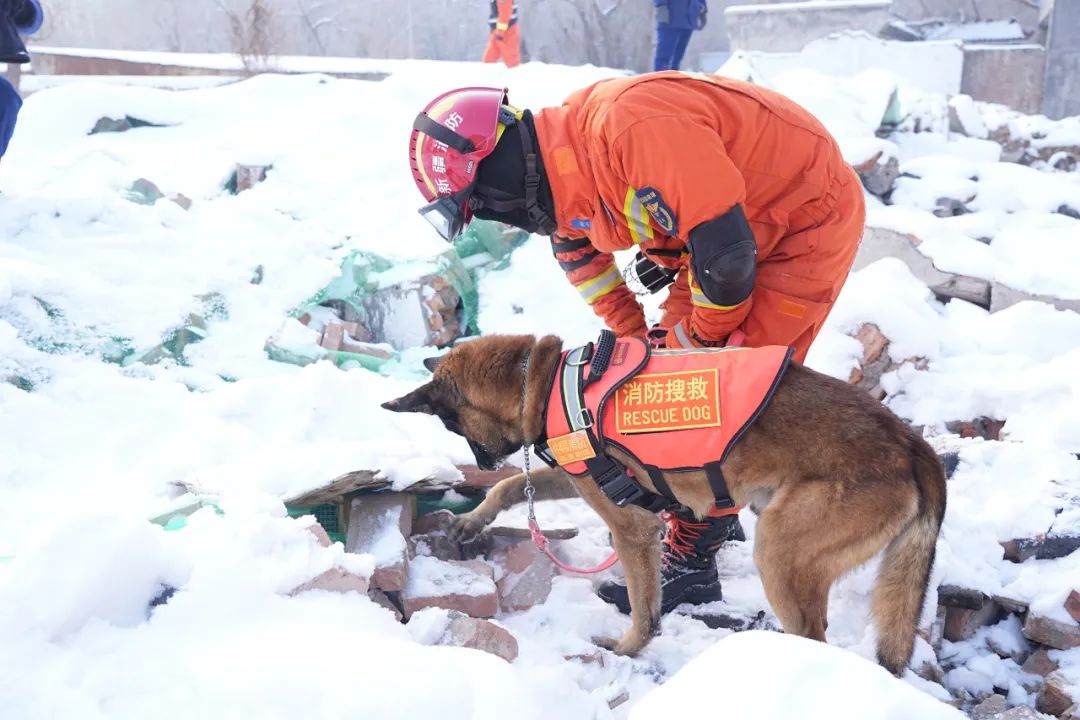 迎寒而战 天山脚下练兵忙丨新疆消防救援总队全面掀起
